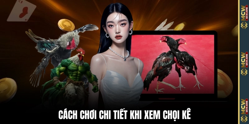 Cách chơi chi tiết khi xem chọi kê